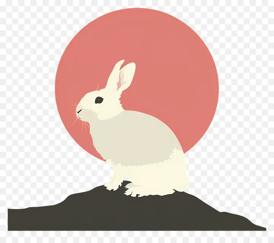 أرنب，الأرنب الأبيض PNG