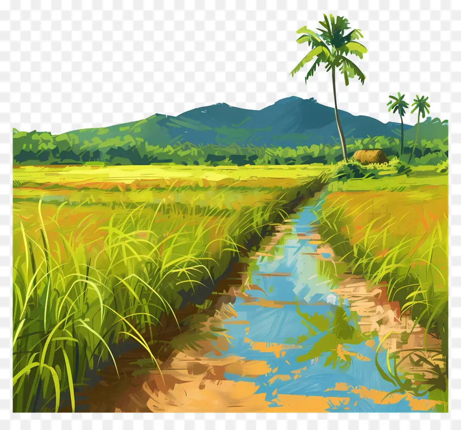 حقل الأرز，رسم المناظر الطبيعية PNG