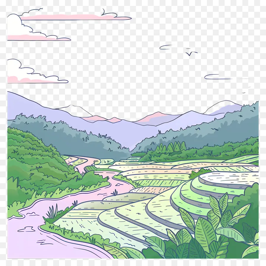 حقل الأرز，الجبال PNG
