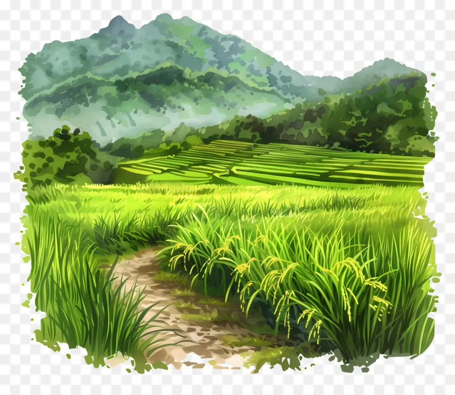 حقل الأرز，المناظر الطبيعية الجبلية PNG