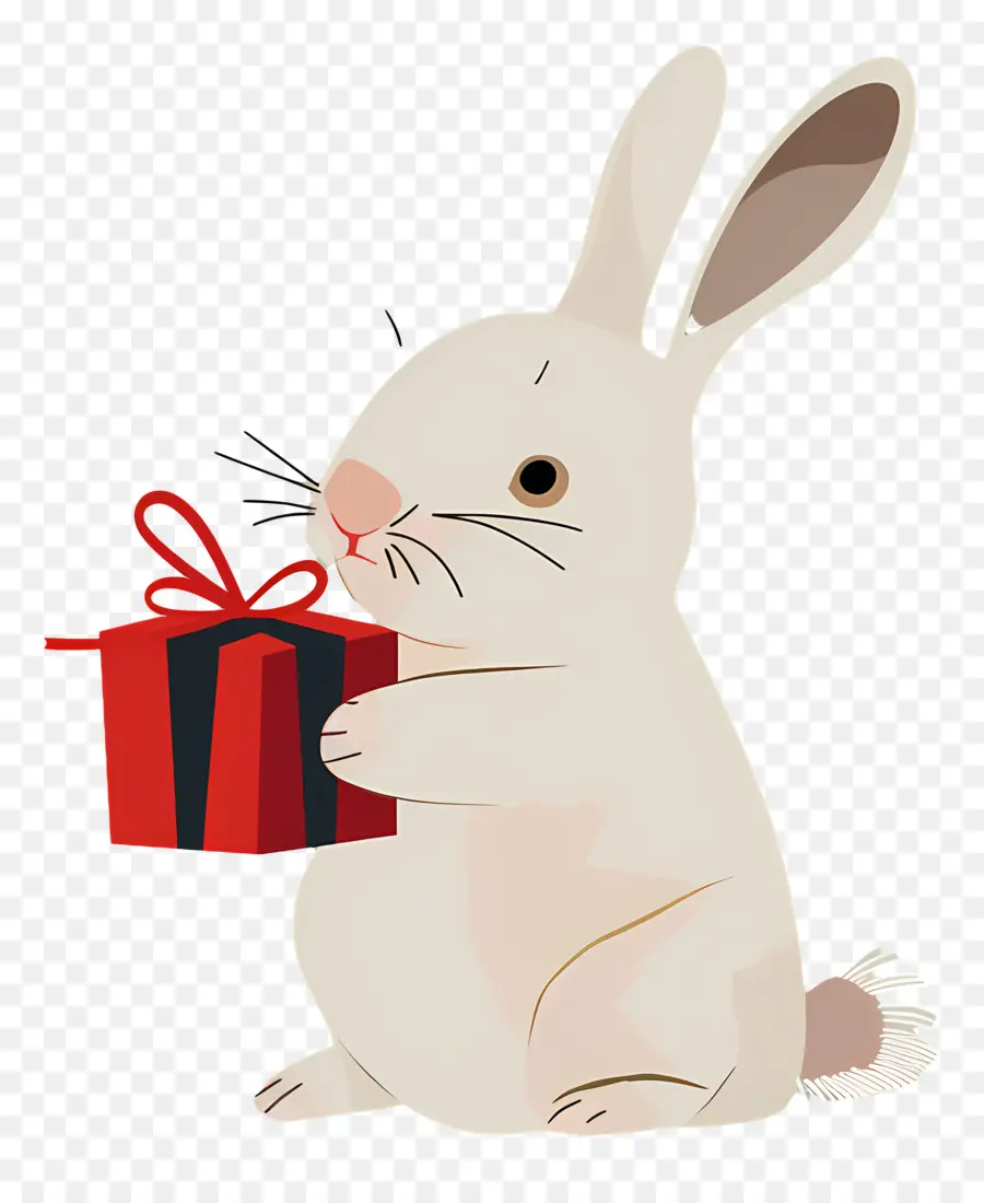 أرنب，هدايا عيد الميلاد PNG