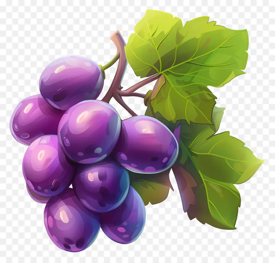 العنب المتحركة，العنب الأرجواني PNG