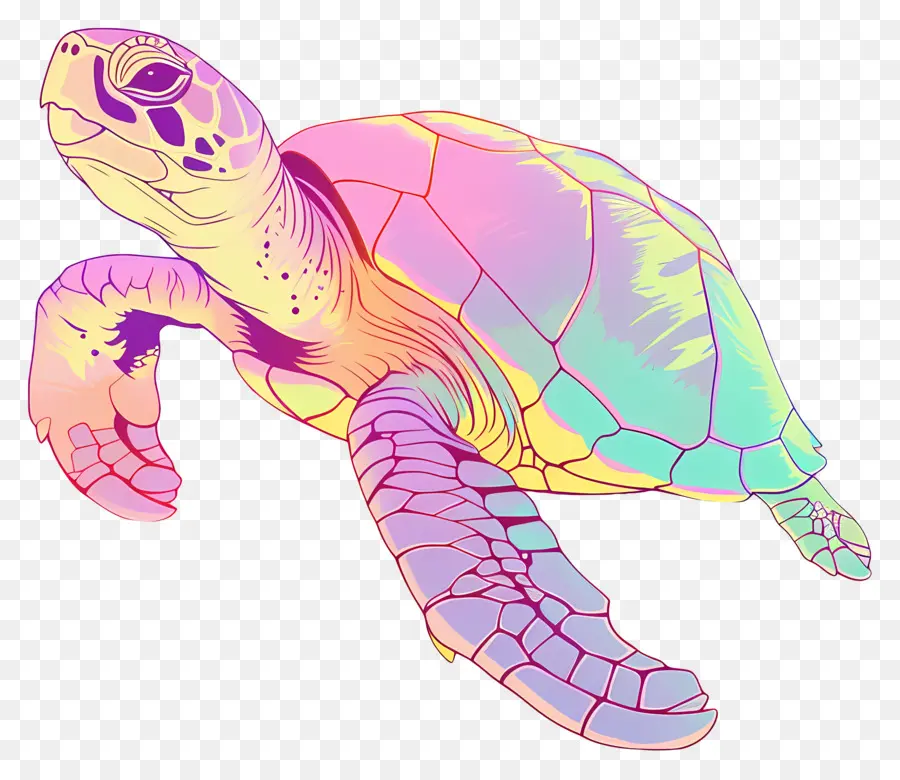 السلاحف，السلاحف البحرية PNG