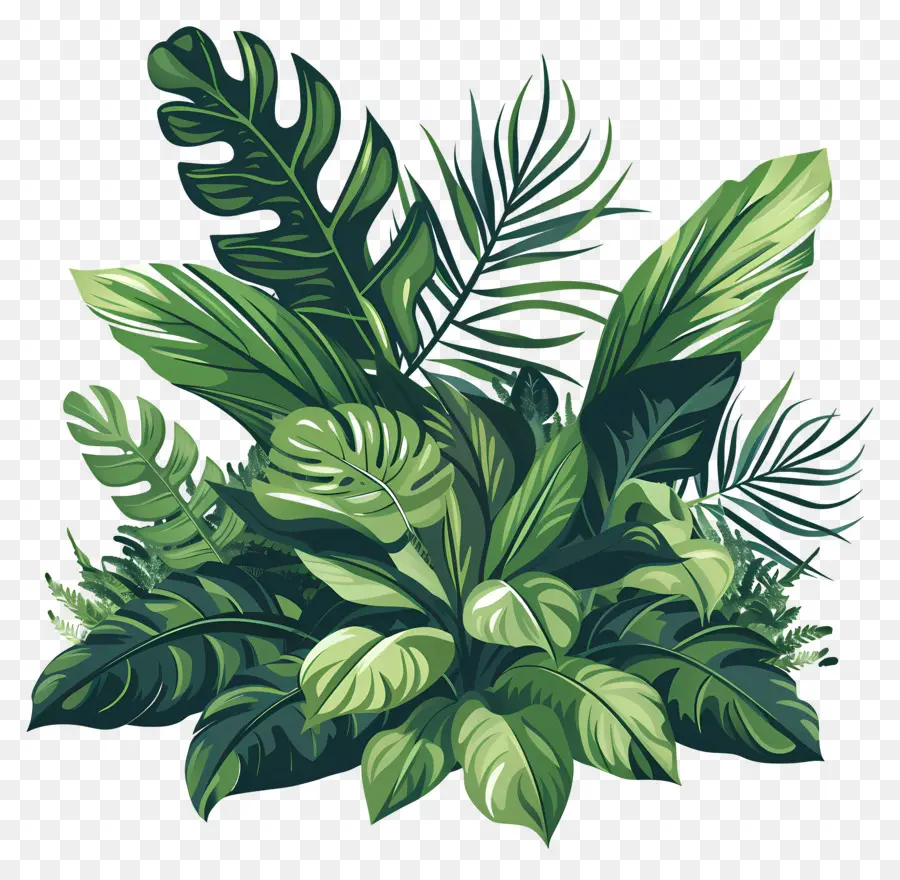 نبات الخضرة，النباتات PNG