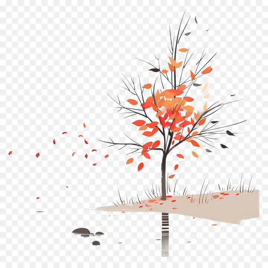 بارد الخريف，شجرة PNG