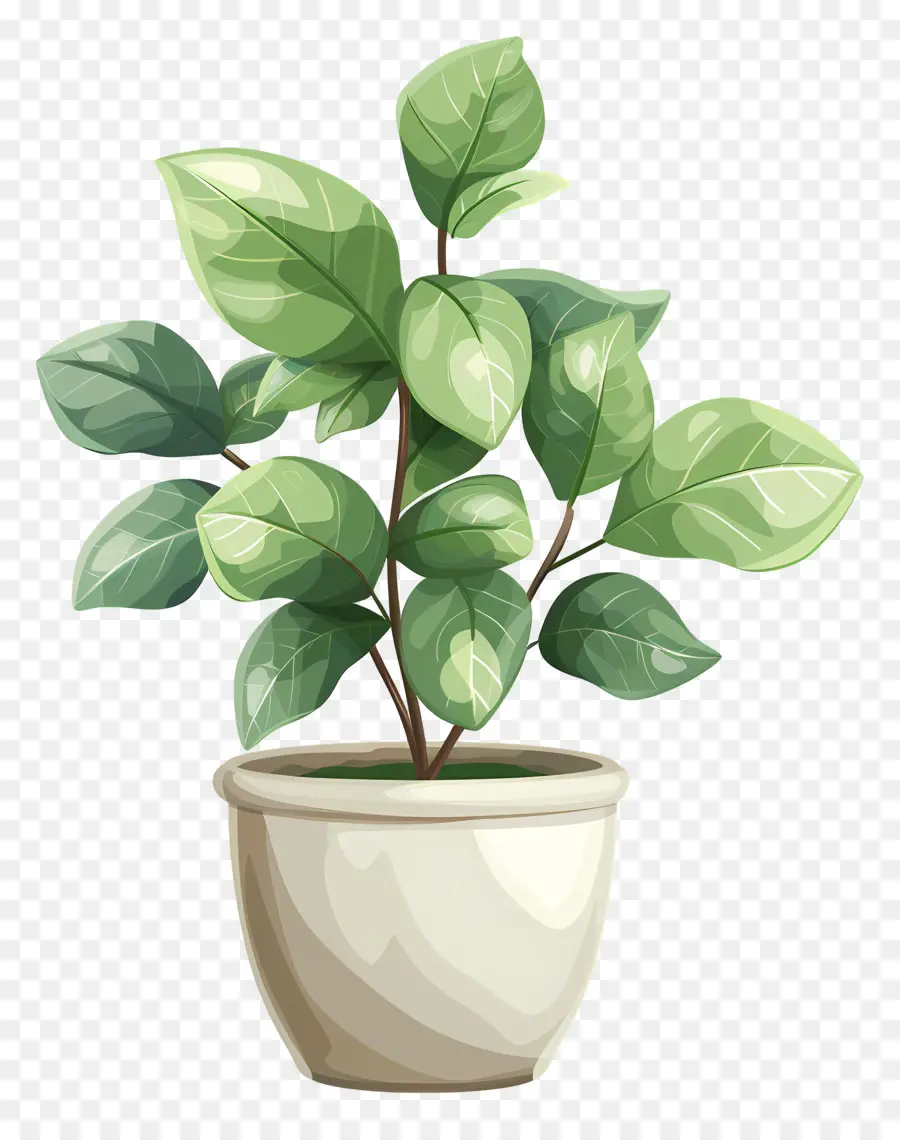 نبات الخضرة，النباتات الداخلية PNG