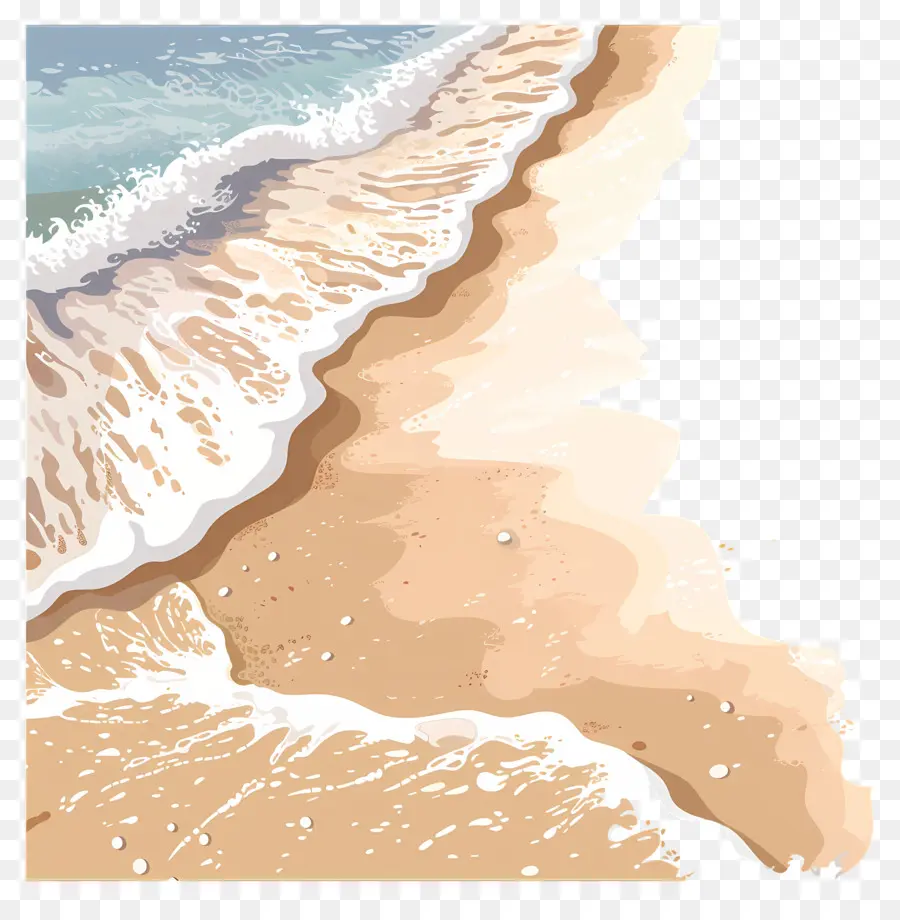 شاطئ الرمال，لوحة الشاطئ PNG
