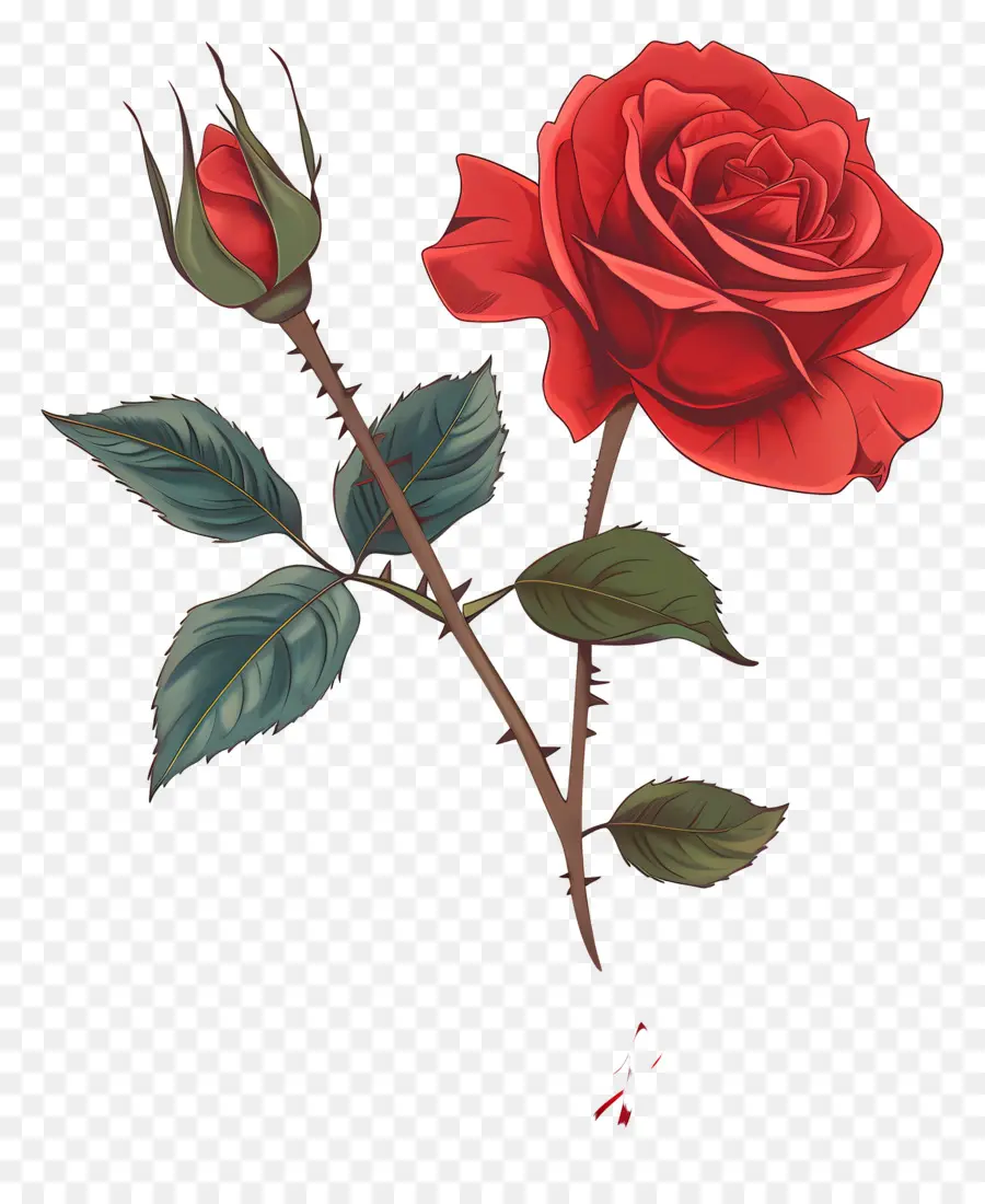 يوم الورد الأحمر，وردة حمراء PNG