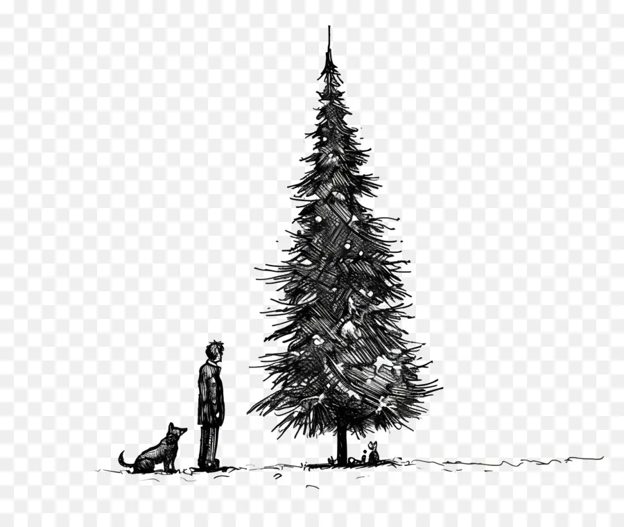 شجرة عيد الميلاد，أضواء عطلة PNG