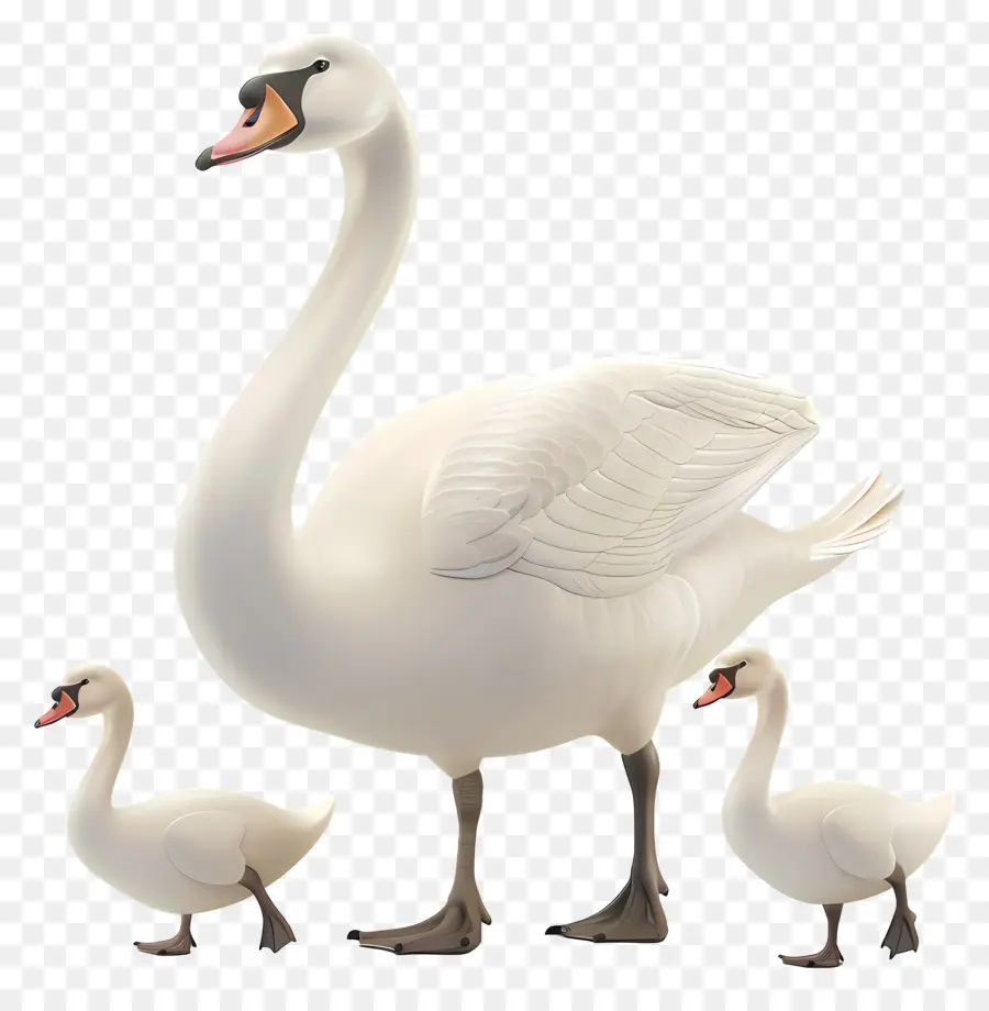 بجعة，البجعة مع Cygnets PNG