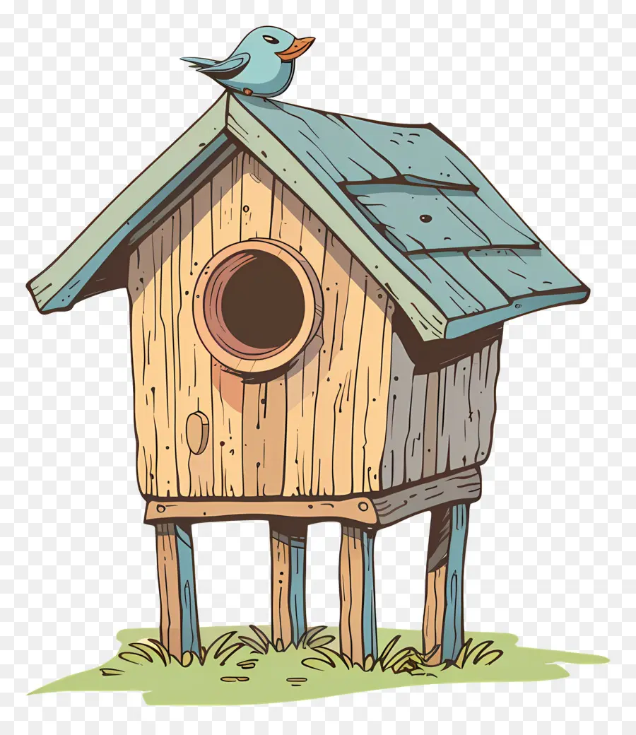 طيور，Birdhouse خشبي PNG