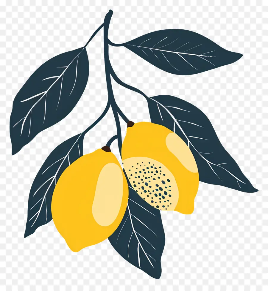 الليمون，شجرة الليمون PNG