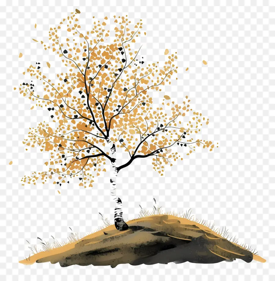 شجرة البتولا，سقوط ورق النبتة PNG