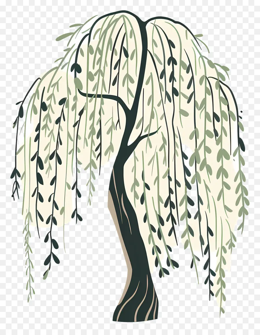 الصفصاف الباكية，شجرة الصفصاف PNG