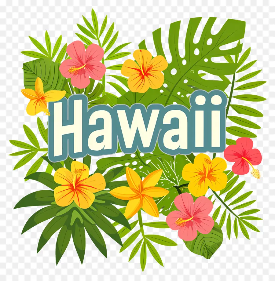 هاواي，زهرة PNG