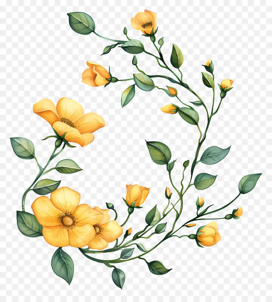 الزهور الصفراء，خلفية سوداء PNG
