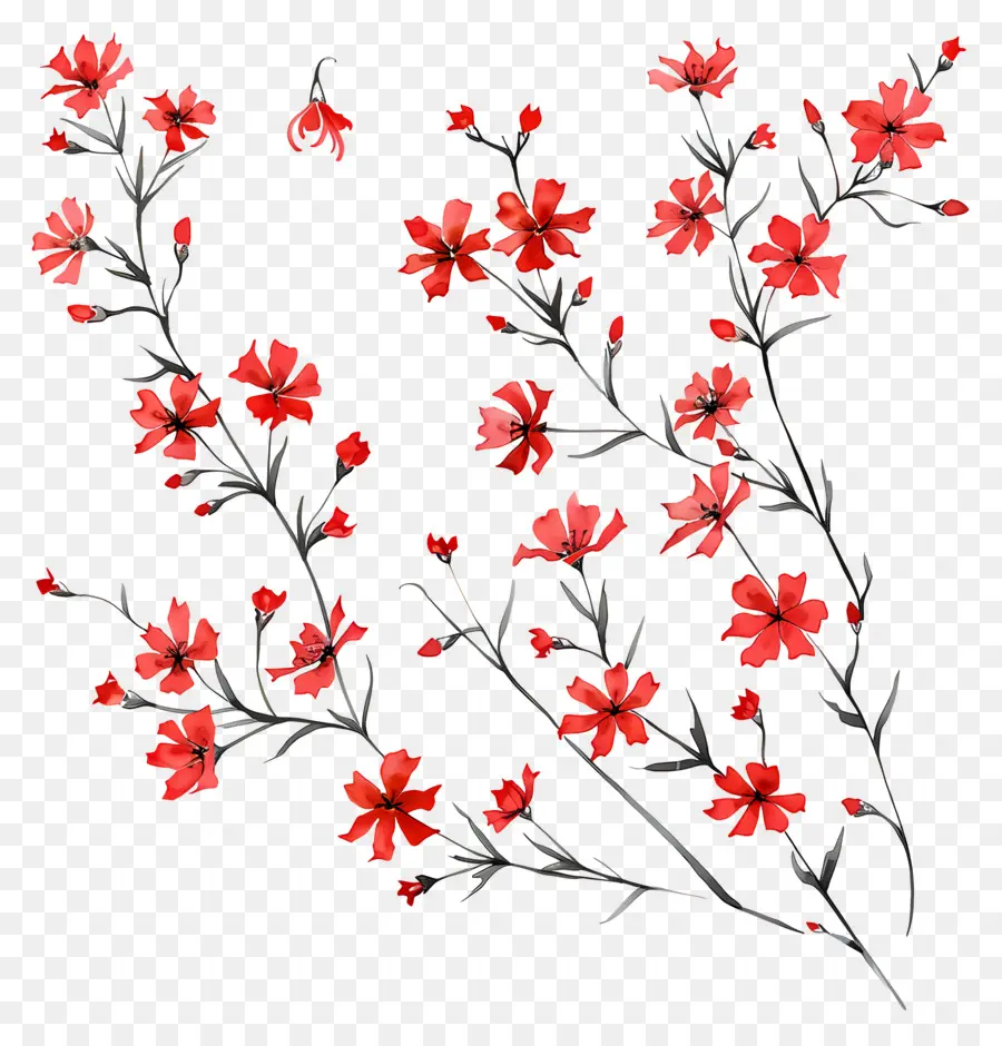 الزهور الحمراء，القواطع ورقة PNG