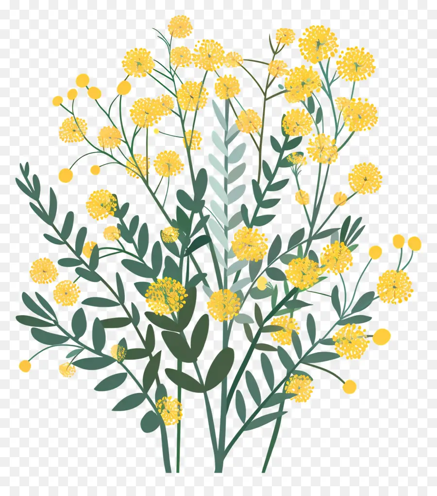 زهور ميموزا，الزهور الصفراء PNG