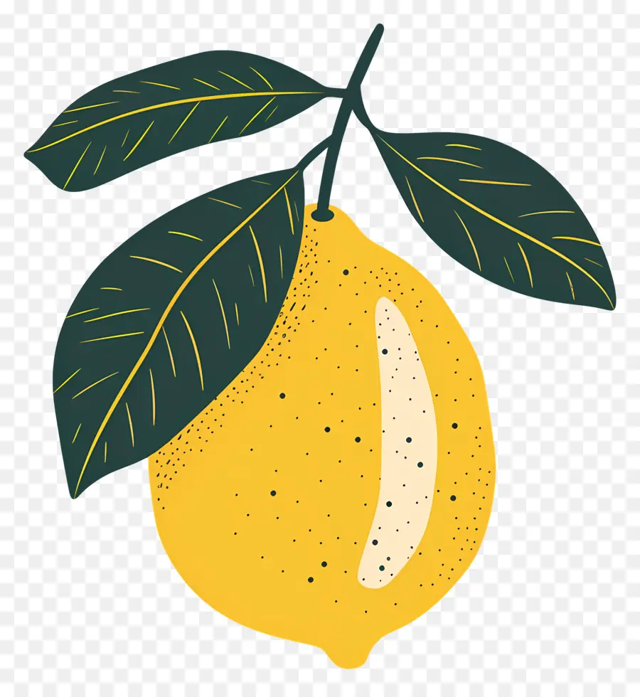 الليمون，فرع PNG