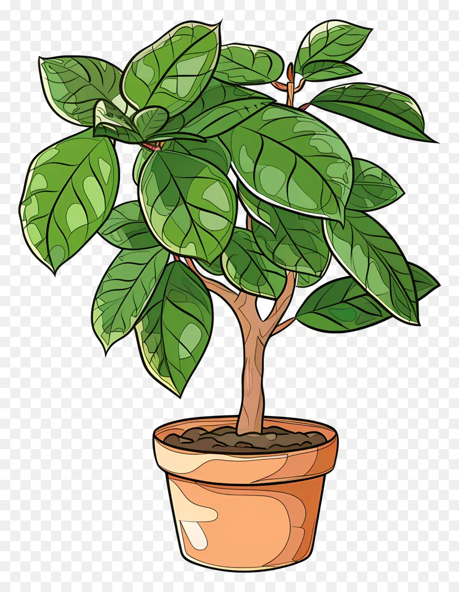 شجرة التين，محفوظ بوعاء النباتات PNG