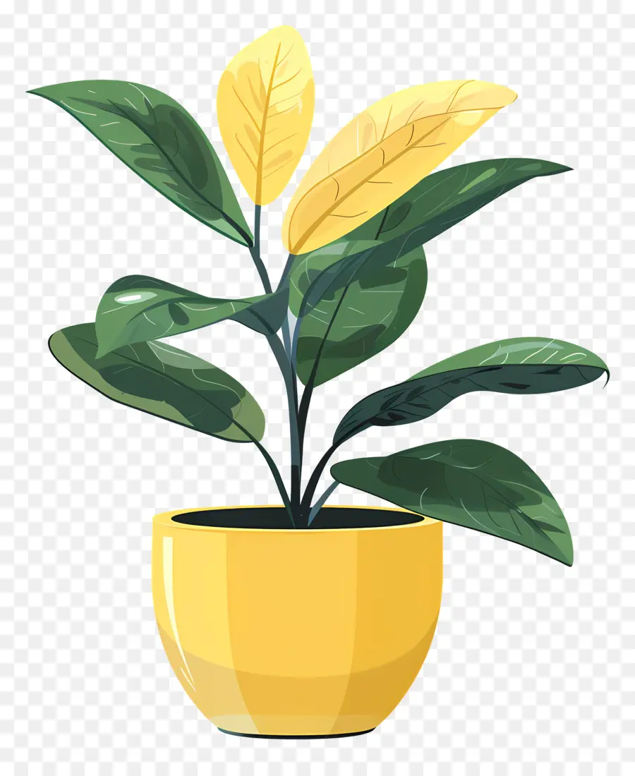وعاء أصفر，يمكن للنبات PNG