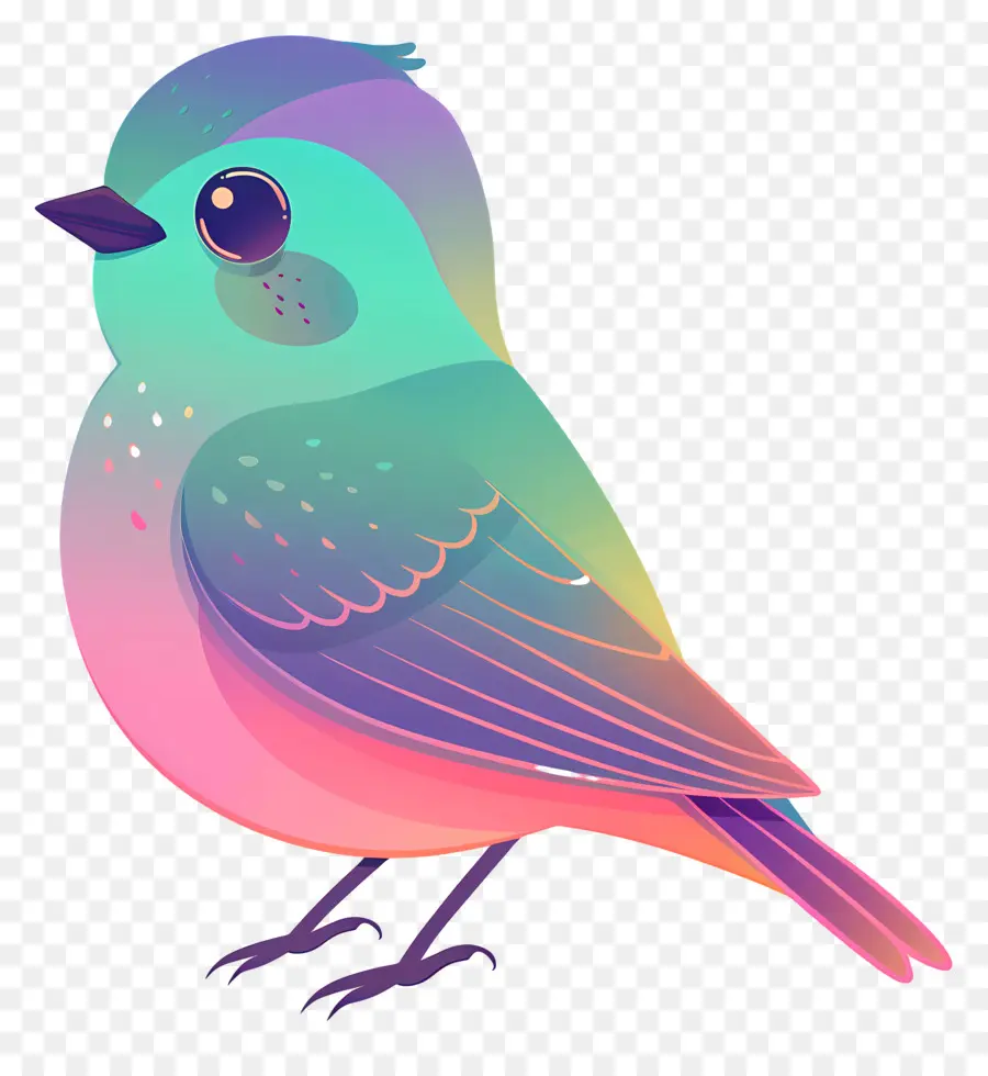 الطيور，الملونة PNG