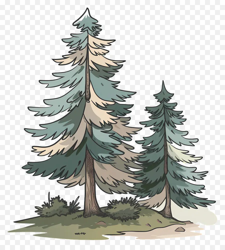 شجرة الصنوبر，أشجار الصنوبر PNG