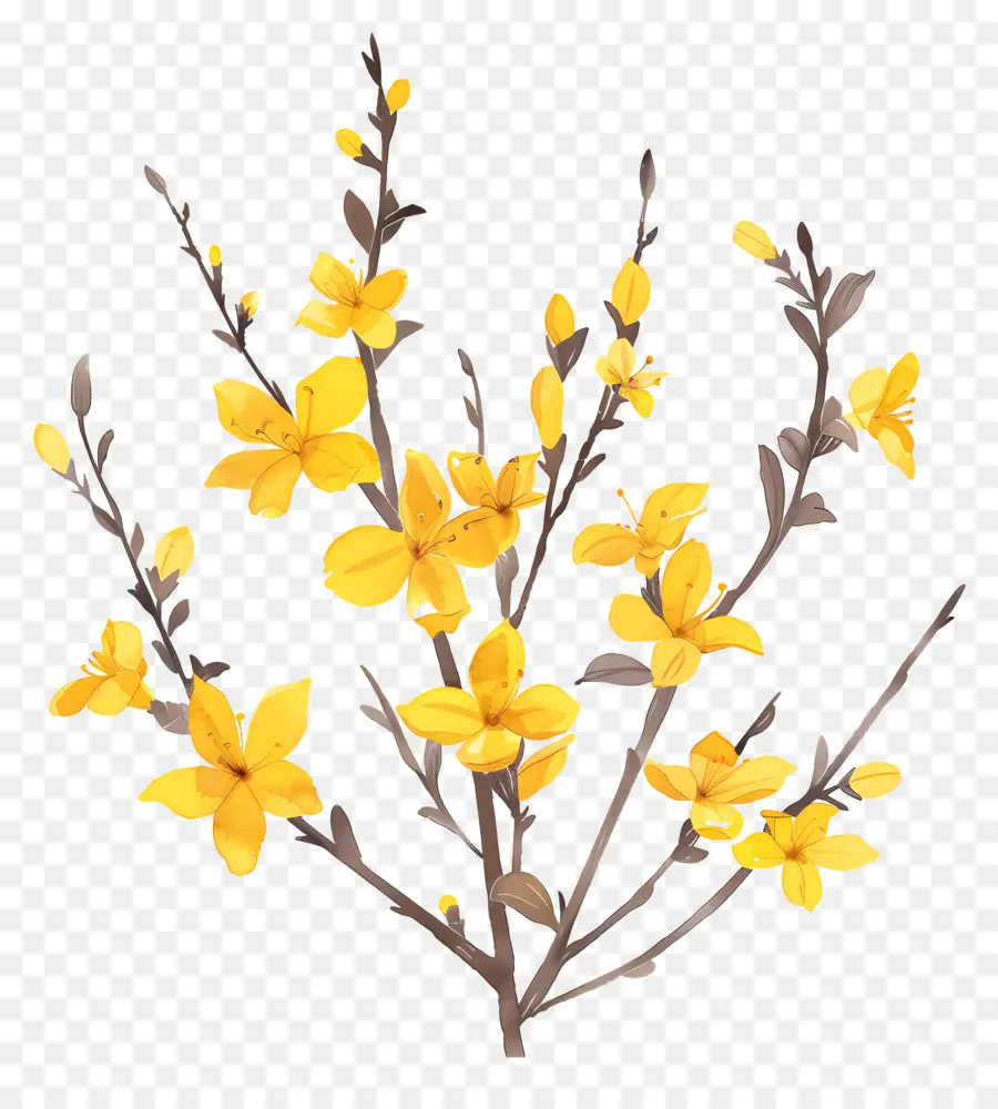 فورسيثيا，الزهور الصفراء PNG
