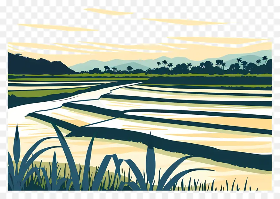 الأرز，المناظر الطبيعية PNG