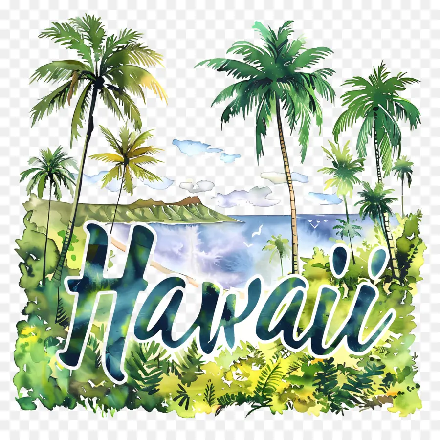 هاواي，ألوان مائية PNG