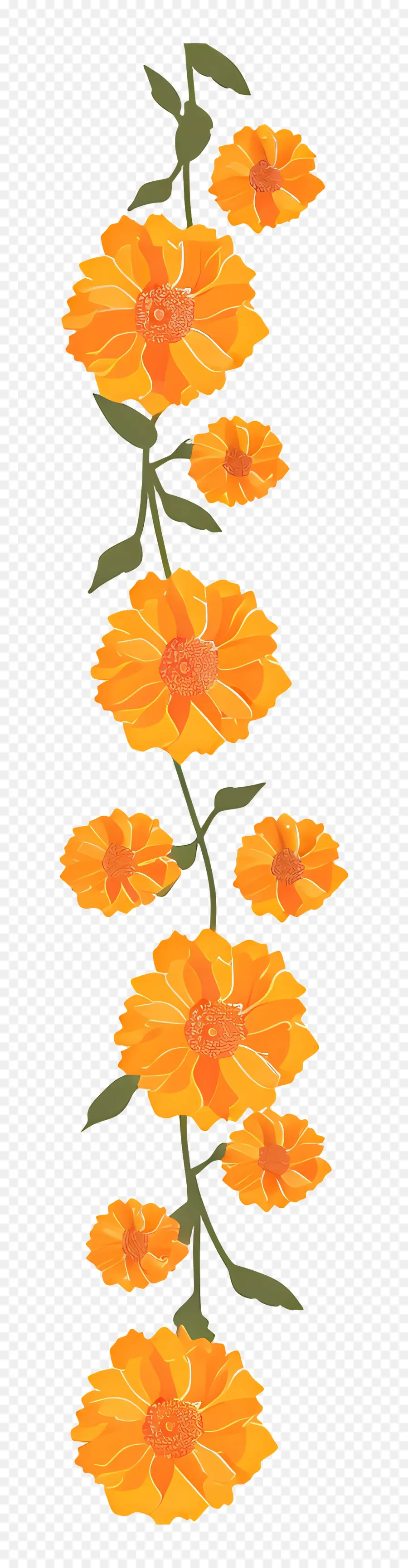 زفاف ماجيغولد إكليل，زهور البرتقال PNG