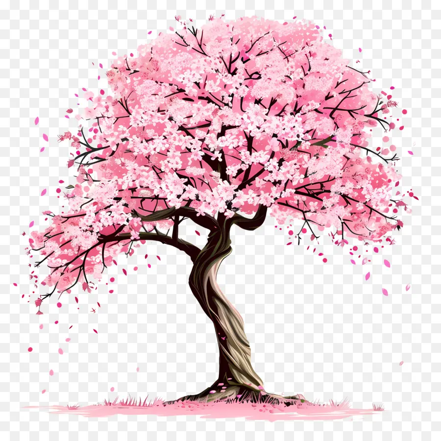 زهر الكرز شجرة，الوردي أزهار الكرز PNG
