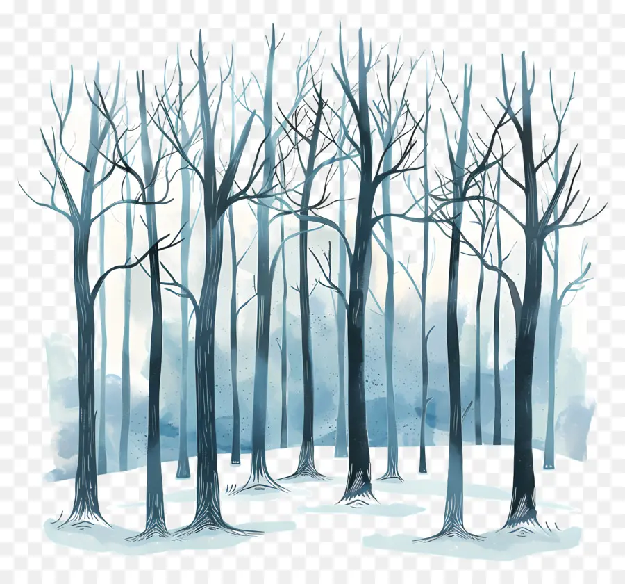 الغابات في فصل الشتاء，الغابات PNG