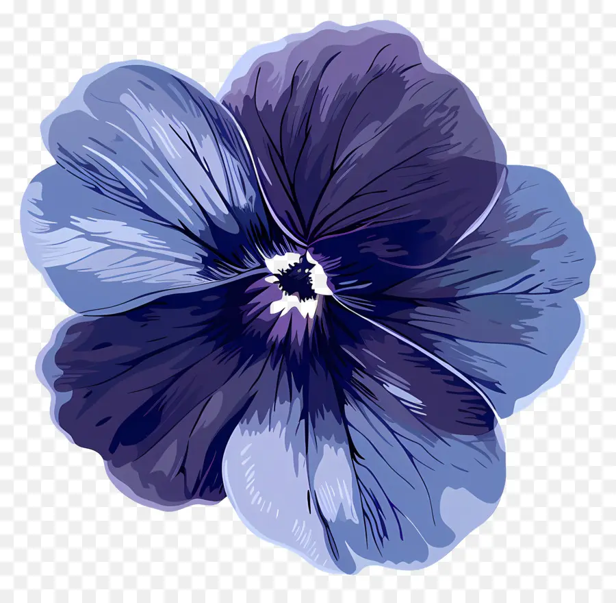 زهرة البنفسج，الزهرة الزرقاء PNG