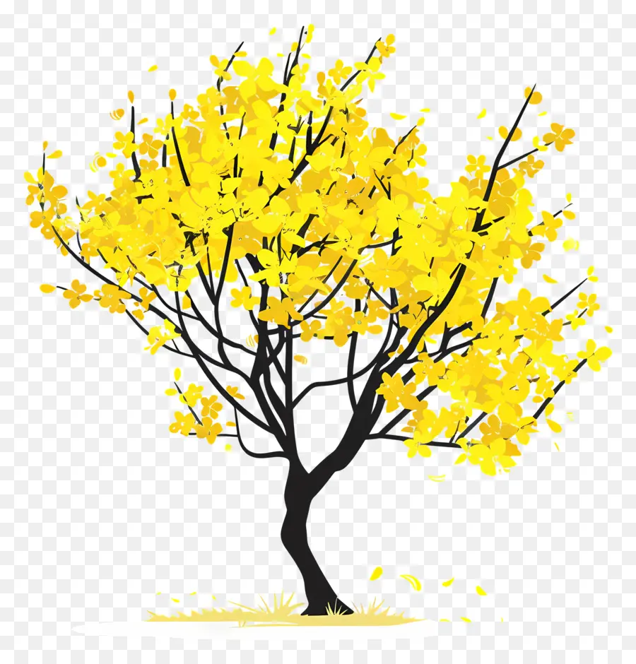 فورسيثيا，الأصفر شجرة PNG