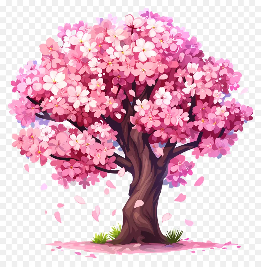 زهر الكرز شجرة，الوردي بتلات PNG