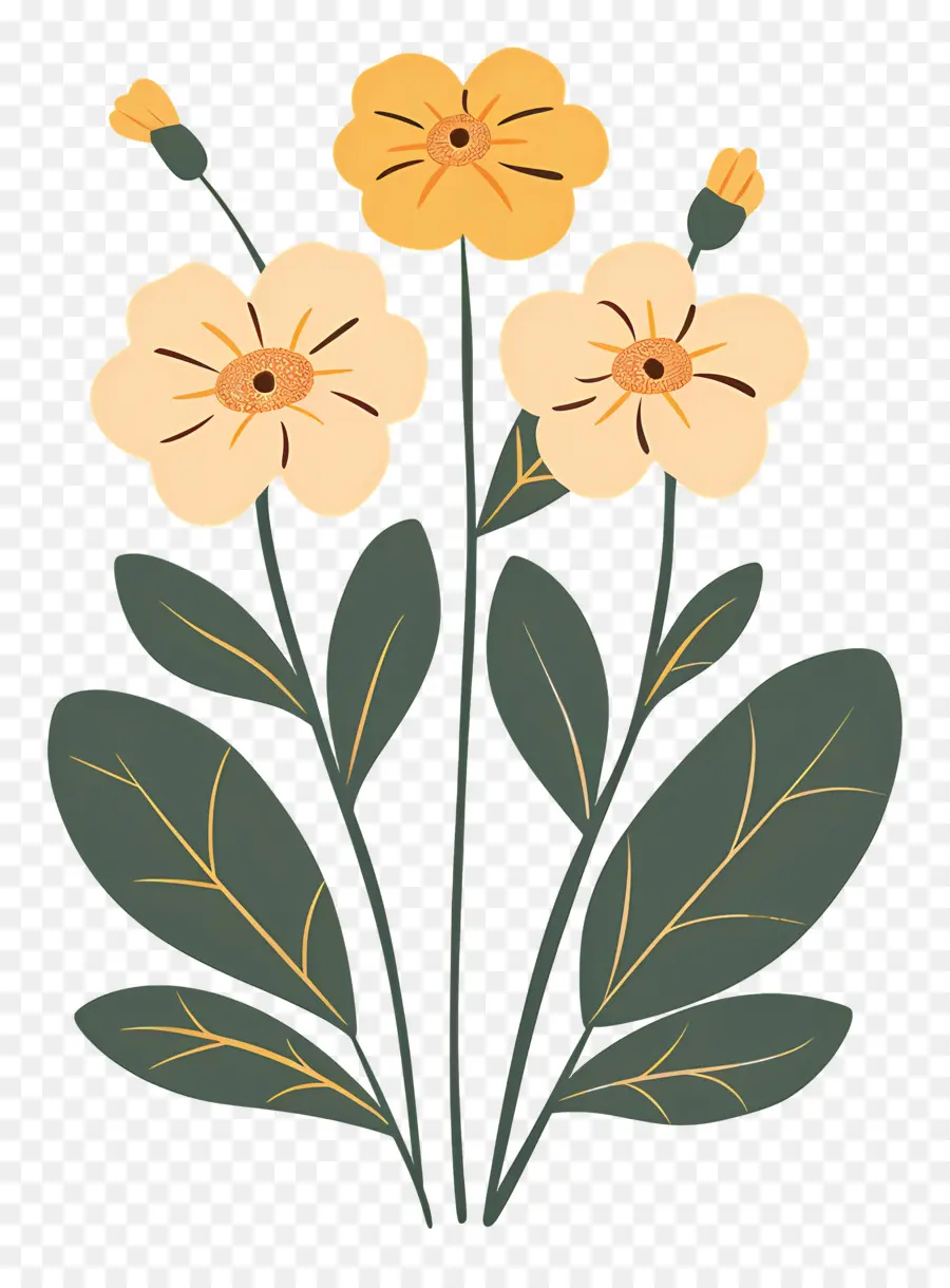 زهرة الربيع，الزهور الصفراء PNG