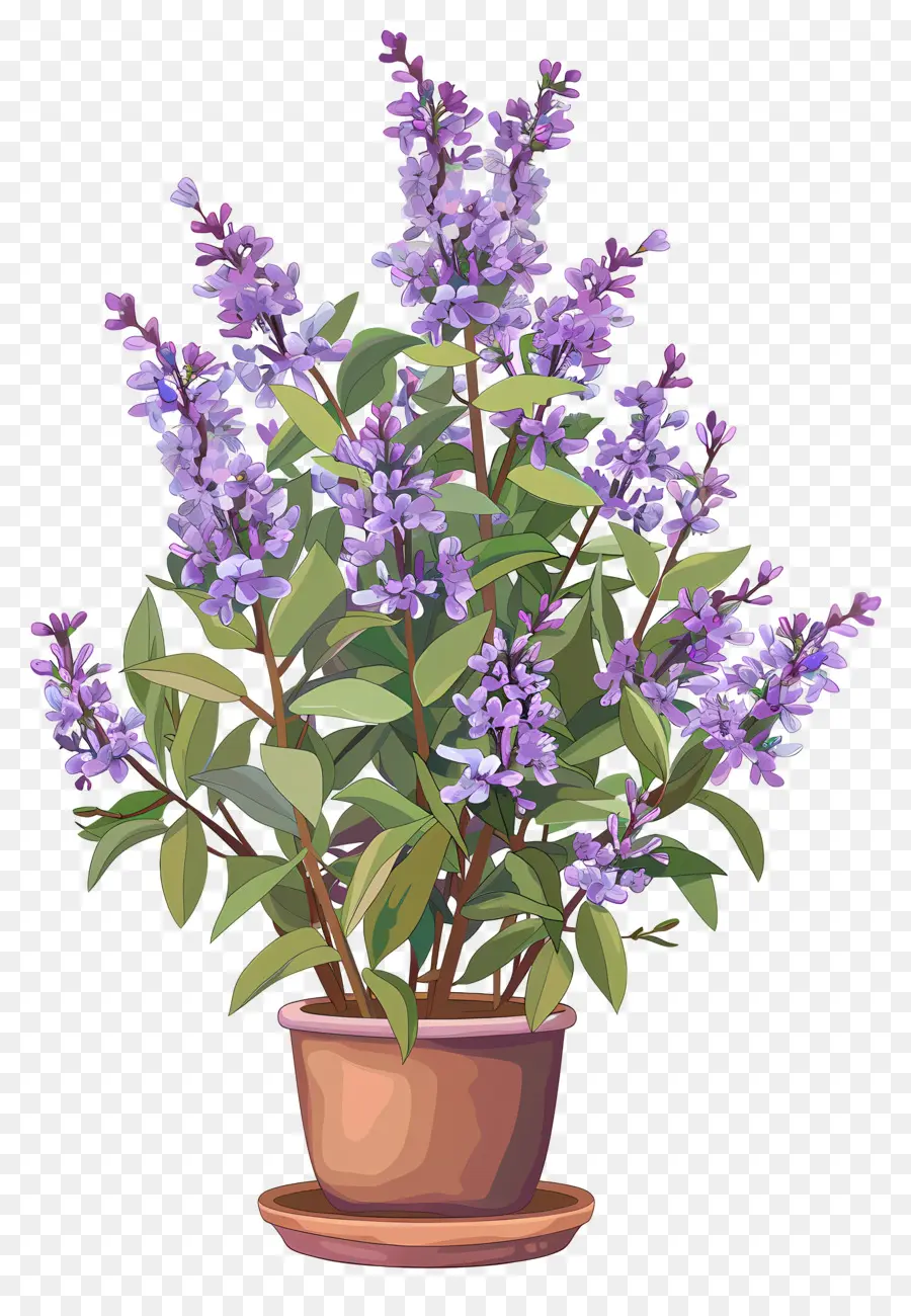 الزهور أرجواني，محفوظ بوعاء النباتات PNG