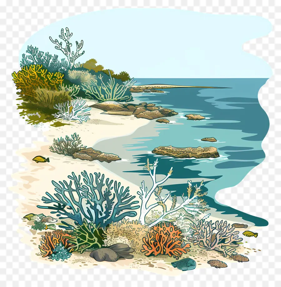 الحاجز المرجاني العظيم，الشاطئ الاستوائية PNG