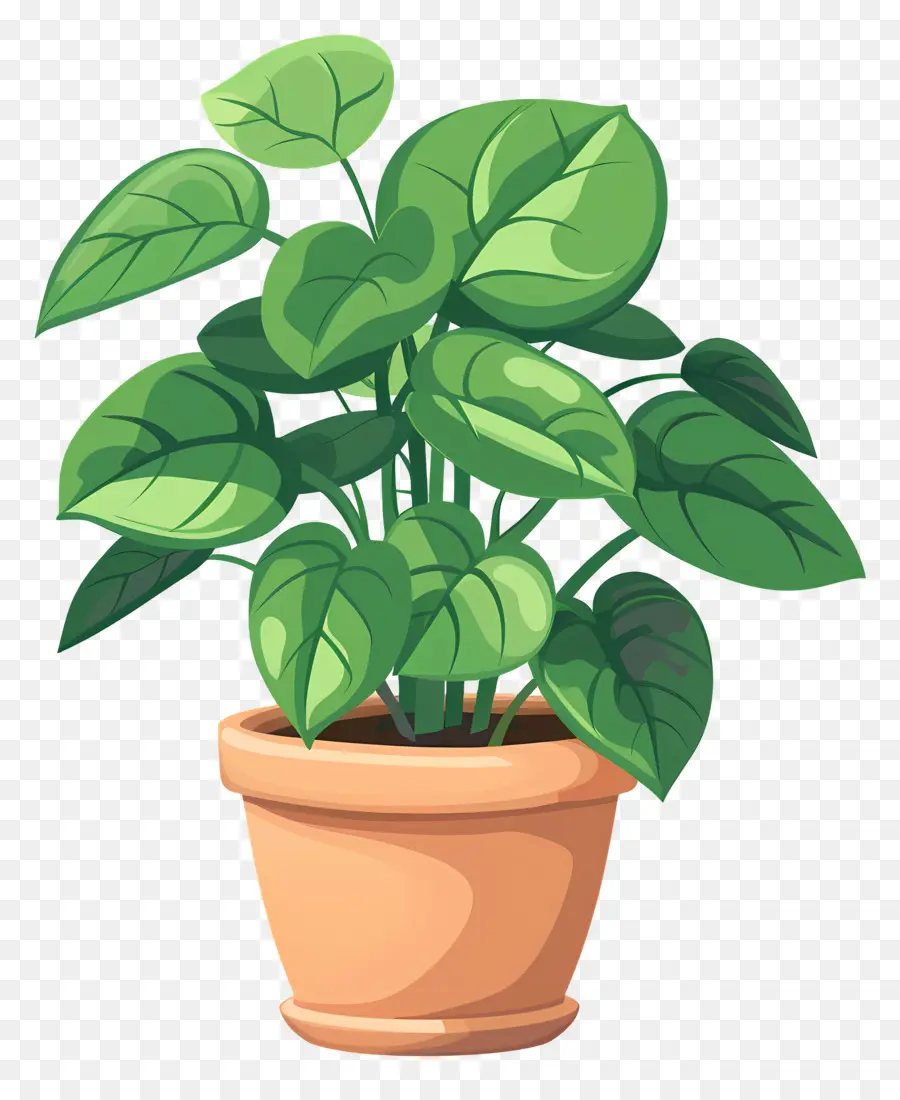 النبات في وعاء，محفوظ بوعاء النباتات PNG