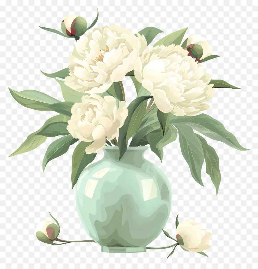 الفاوانيا البيضاء，الزهور PNG