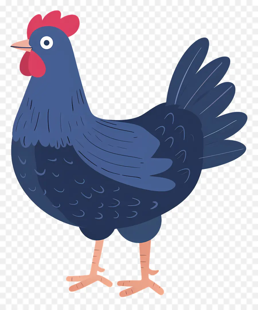 الدجاجة，الكرتون الدجاج PNG