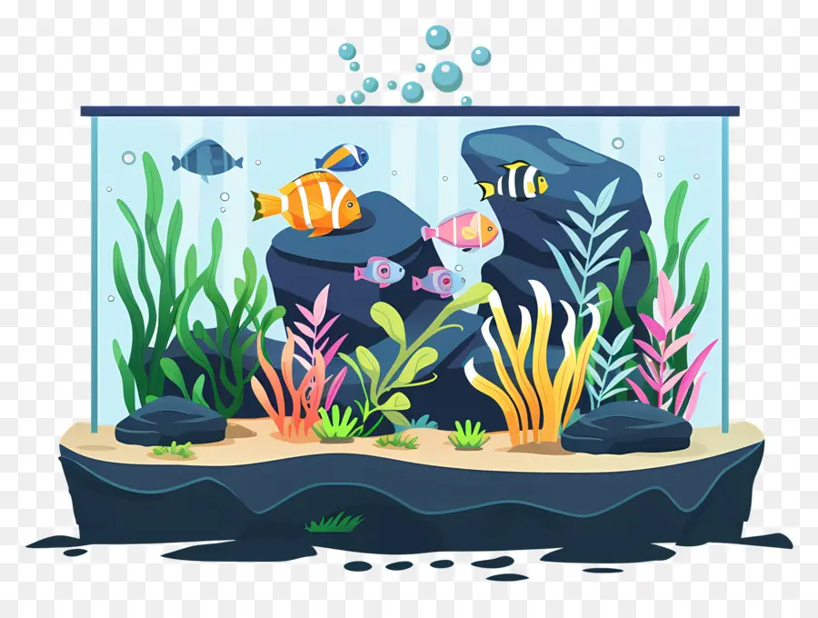 الحوض，خزان الأسماك PNG