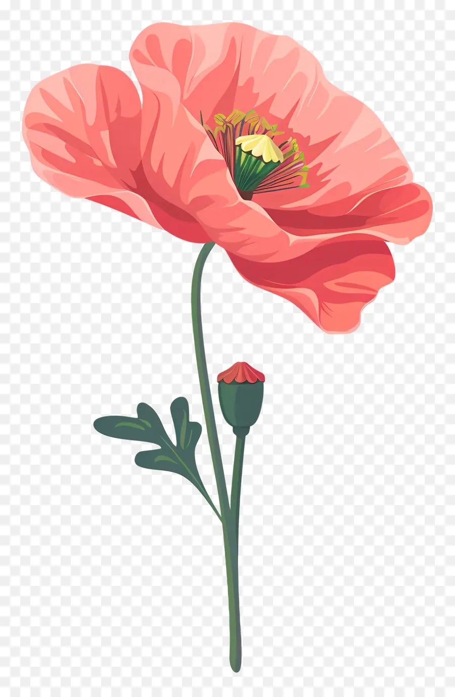زهرة الخشخاش，البتلة الوردي PNG