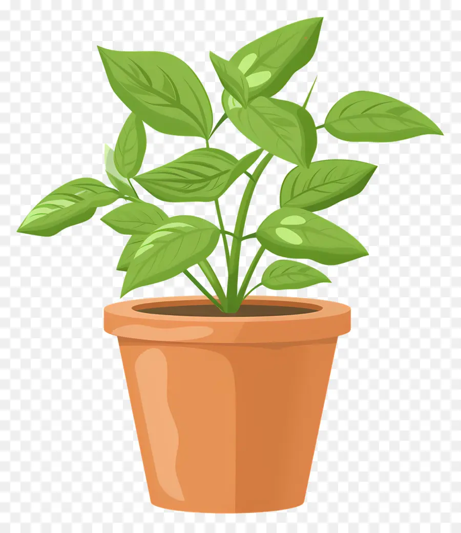 النبات في وعاء，نبات داخلي PNG