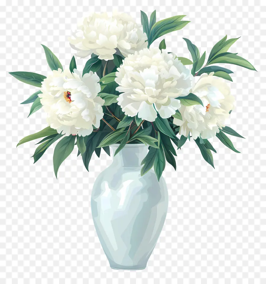الفاوانيا البيضاء，أزهار نضرة PNG