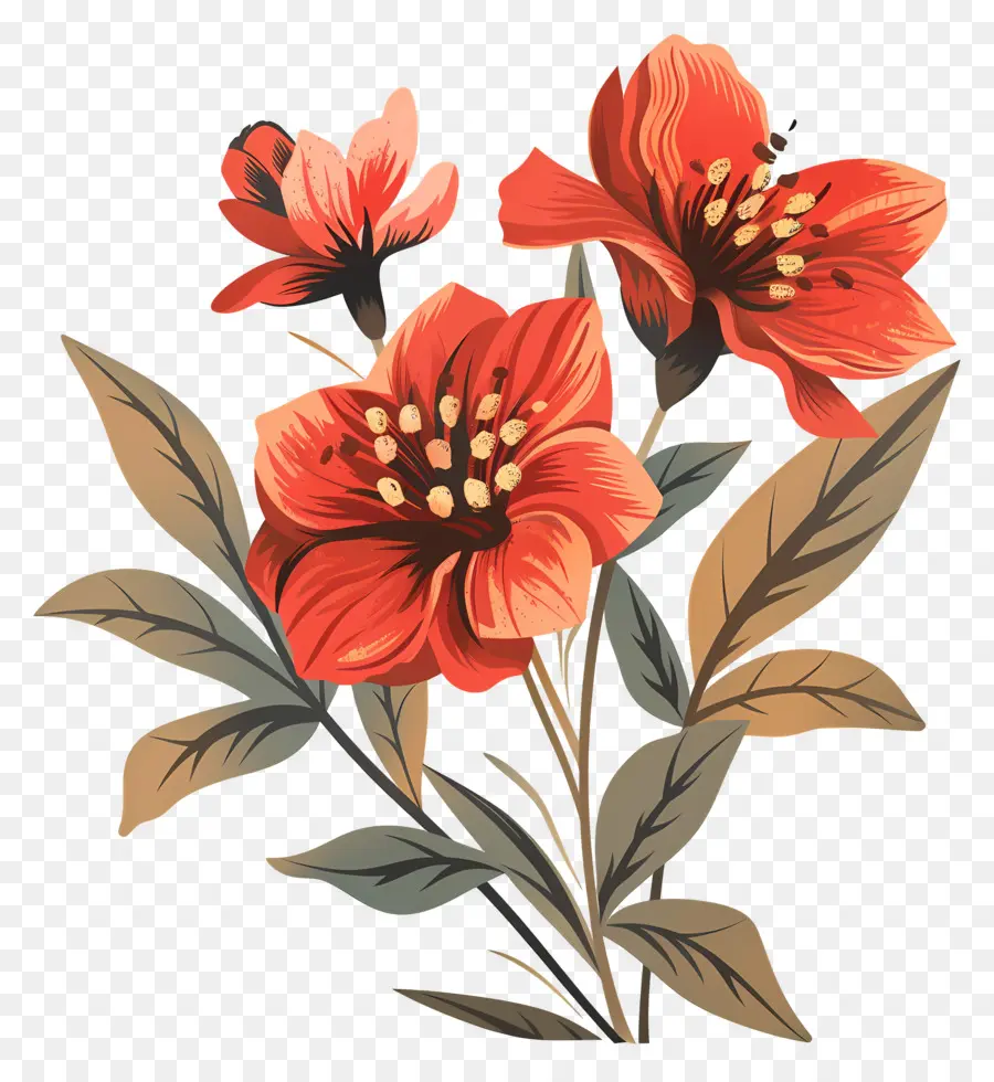 خمر زهرة，الزهور البرتقالية والأحمر PNG