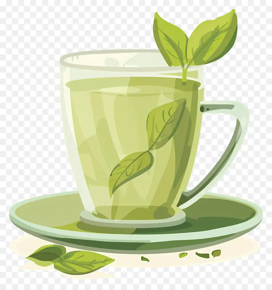 الشاي الأخضر，الشاي PNG