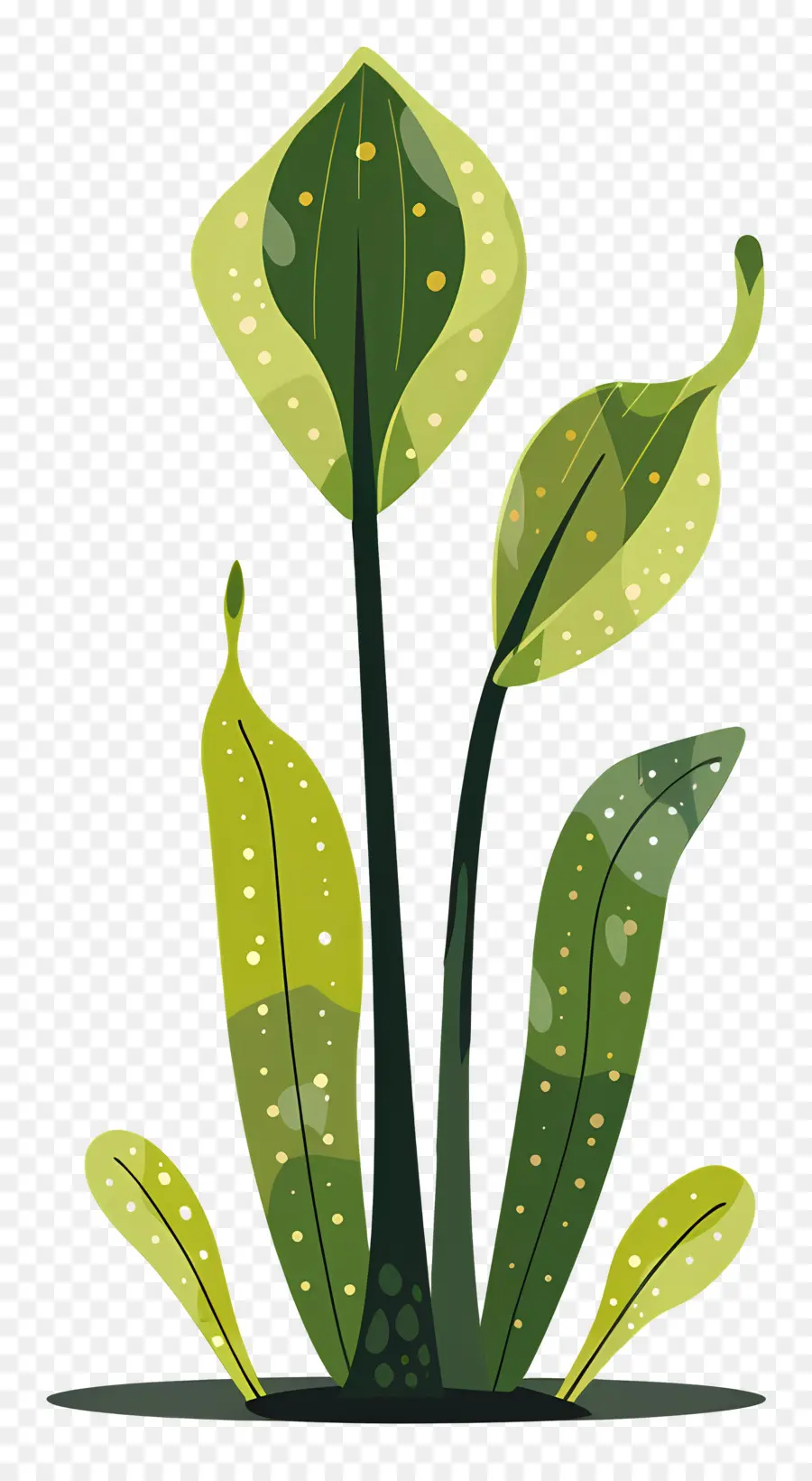 إبريق النبات，النباتات الخضراء PNG