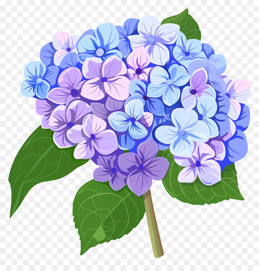 الكوبية زهرة，الزهور الزرقاء والأرجواني PNG